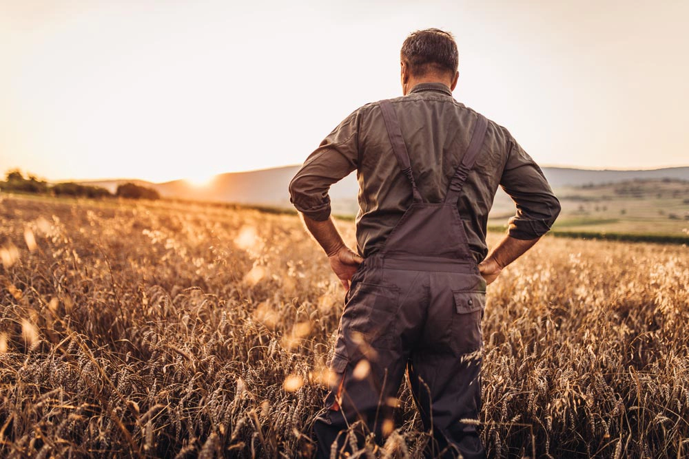 farmer standing in front of a crop field