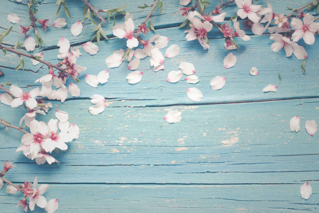 Say Hello To Spring
